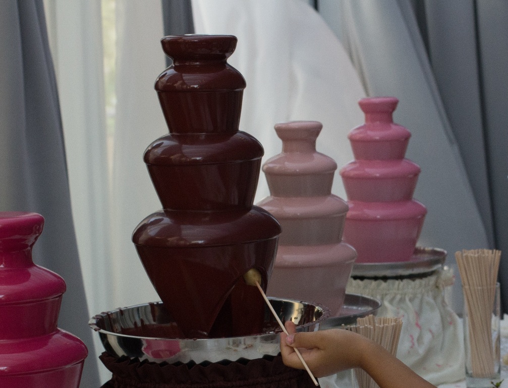 День рождения с шоколадным фонтаном